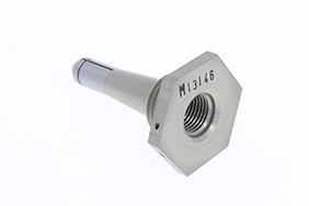 M13146
