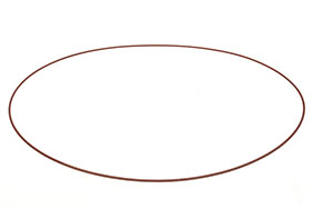 1005721166-001